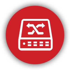 Software Services